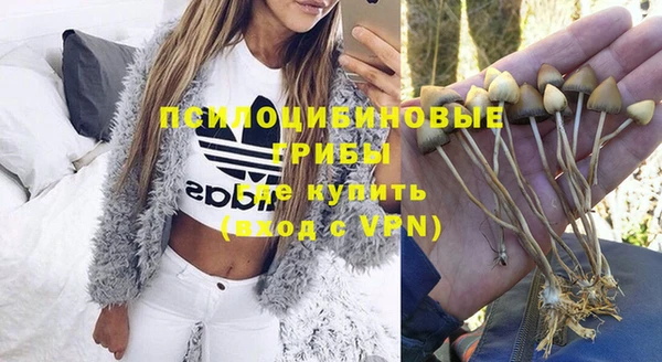 ECSTASY Алексеевка