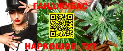 гашик Волжский