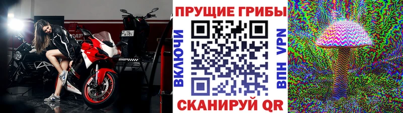 Галлюциногенные грибы мухоморы  где найти   Белебей 