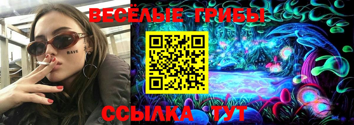 Псилоцибиновые грибы Psilocybe Белебей